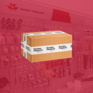 1 Piece Chain & Head - HiSpec